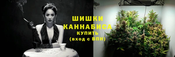 дживик Верхний Тагил