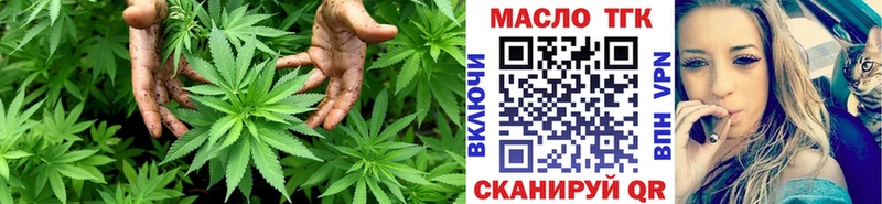 ТГК Wax  Вяземский 